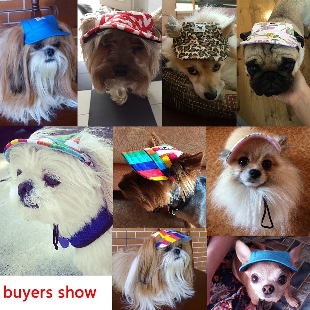 【3C VictoryEagle】[TAILUP]Dog Hat With Ear Hole Summer Baseball Cap Small pet product Oxford Cloth breathable Cool Doggie py0017. 