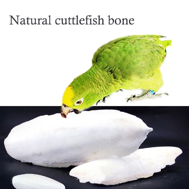 Cuttlebone Cuttlefish Bone Cuttle Fish Bird Food 100g