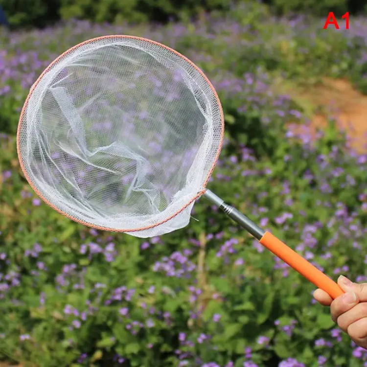 Graceful Extendable Kids Telescopic Butterfly Net Toy Catching