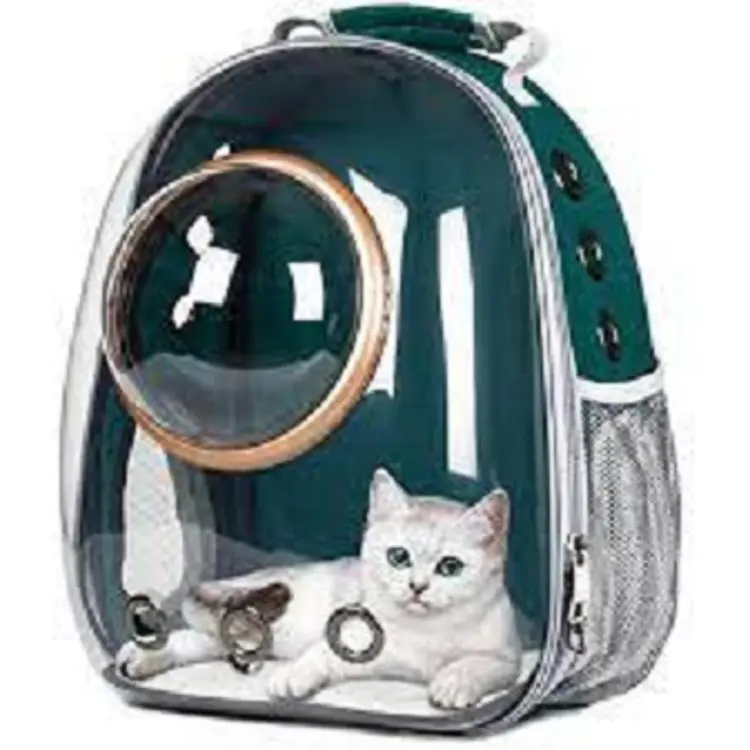 Cat bubble clearance bag