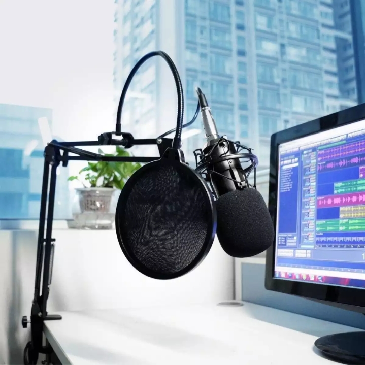 Professional Microfone Bm 800 With Pop Filter Bm 800 Studio Microphone Bm800 Condenser Microphone Kit Audio for Computer ASMR. 