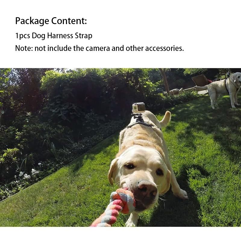 Ayarlanabilir köpek koşum dağı için Gopro Hero 13 12 11 10 DJI Insta360 aksesuarları küçük orta büyük köpekler göğüs ve arka koşum. 