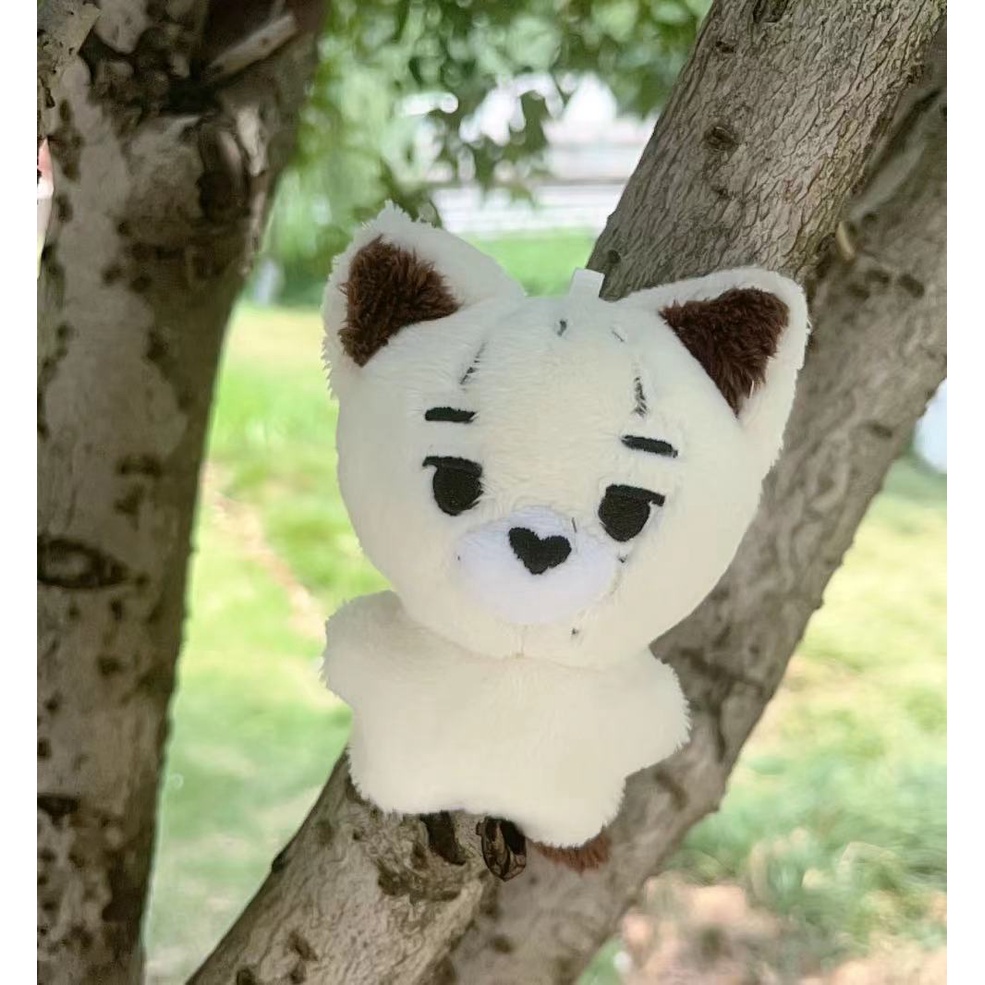 New Kpop Idol Enhypen Cute Animal Plush Doll Stuffed Toys