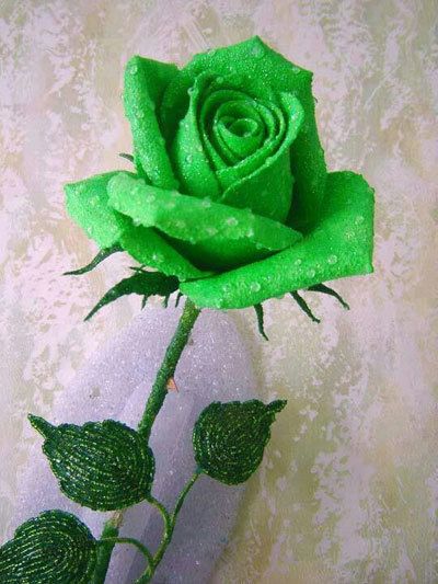 Natural Sure Green Roses Flower Seeds - 25 Pcs Seeds. 