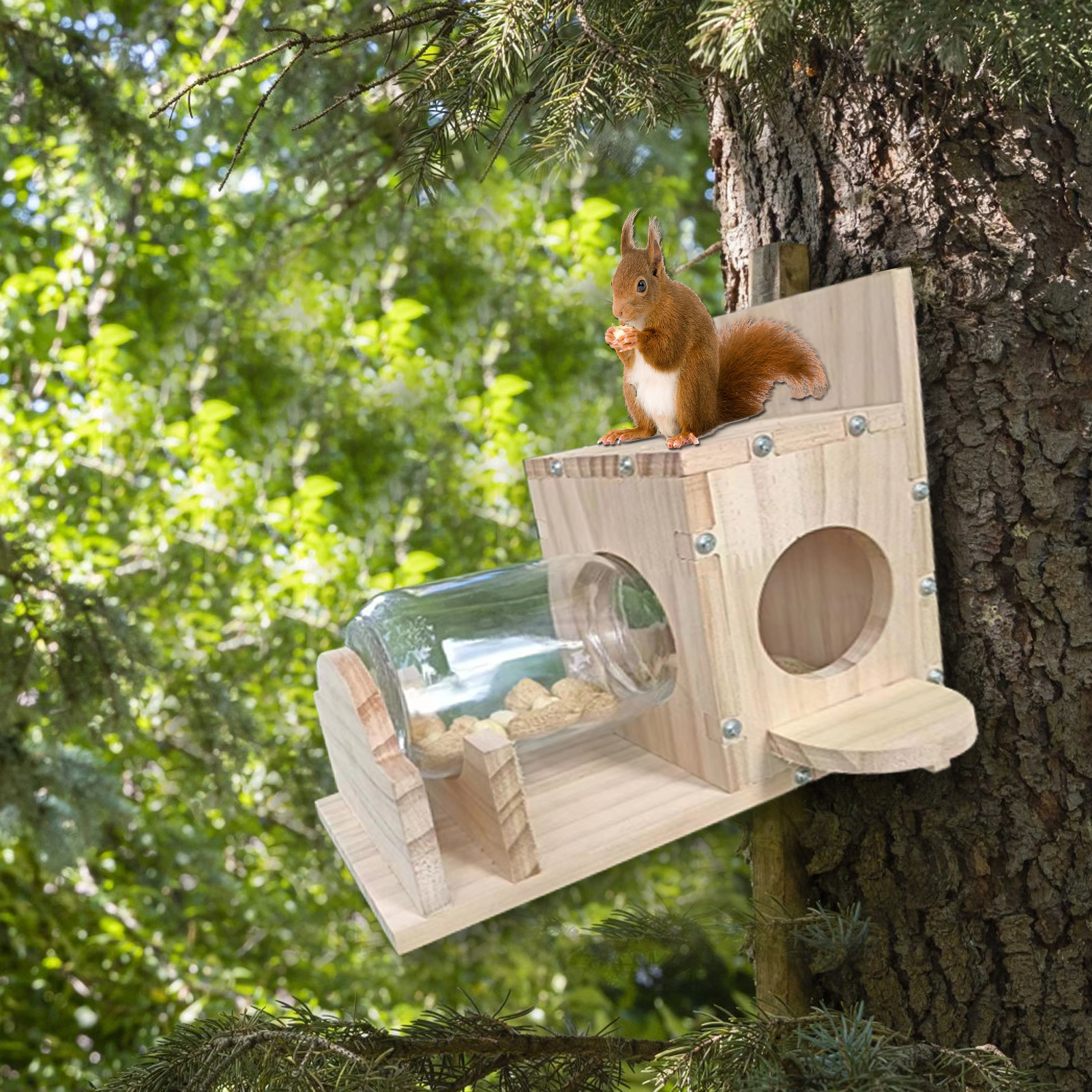 Wooden Squirrel Feeder Premium Glass Squirrel Feeder Easy Refill Weather-proof Garden Device for Outdoor Squirrel Feeding 500ml Capacity Easy Clean Squirrel Feeder. 