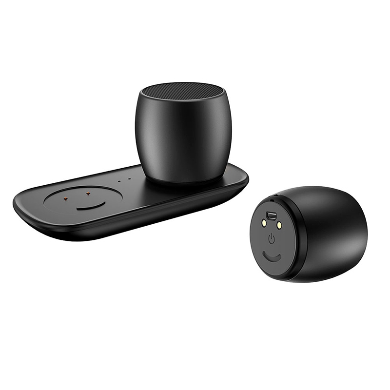 (New)SARDiNE F1 Aluminium Alloy Stereo Wireless Bluetooth Speaker with Charging Dock - Supports Hands-free Calling. 