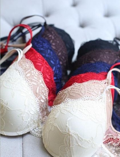 Push Up Padded Foam Multi Color Net Design Bra For Women-01 Piece. 