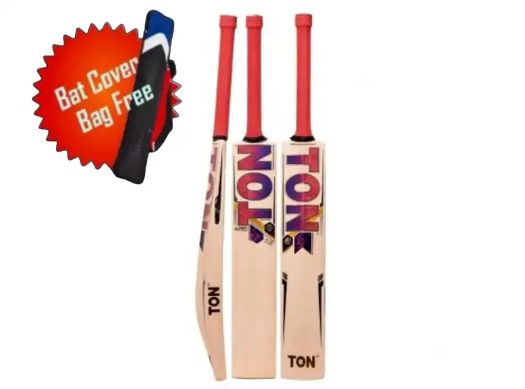 Willow hot sale cricket free