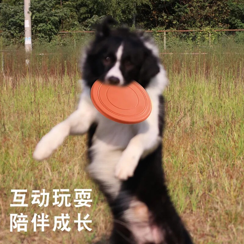 pet toy dog frisbee pet interactive training frisbee floating water resistant and bite resistant soft frisbee. 