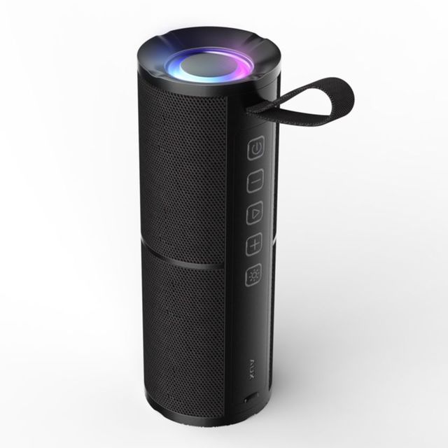 WISE TIGER FM Radio Speaker Bluetooth Speaker BT5.3 Portable Bluetooth Speaker with RGB Light USB TF Card Slot 10W TWS Dual Pair. 