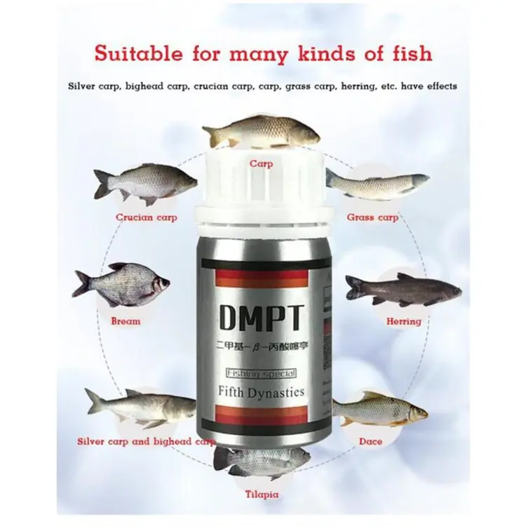 New Fishing Bait Additive Powder Carp Attractive Smell Lure Tackle