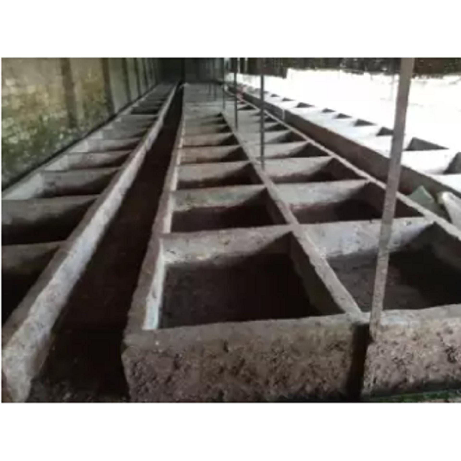 Vermicompost  - 5Kg. 