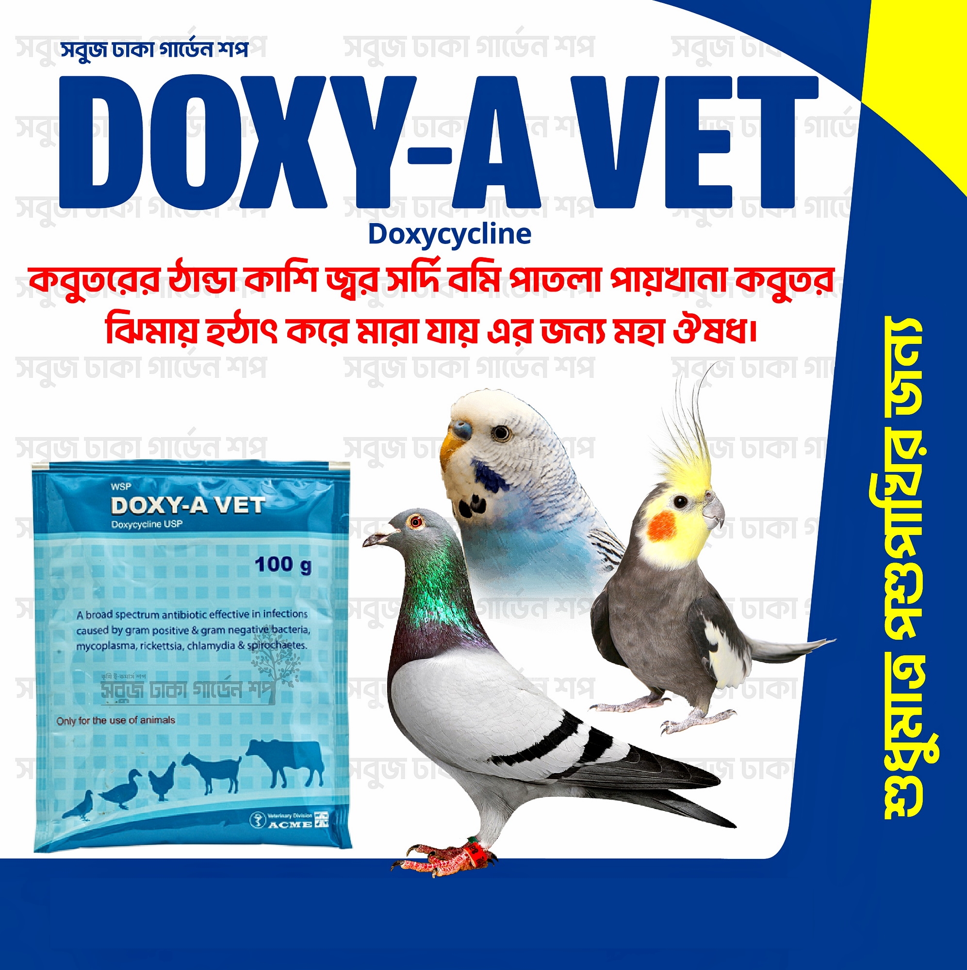 DOXY-A VET POWDER 10gm Pack (Pakhir Thanda Jor er jonno). 