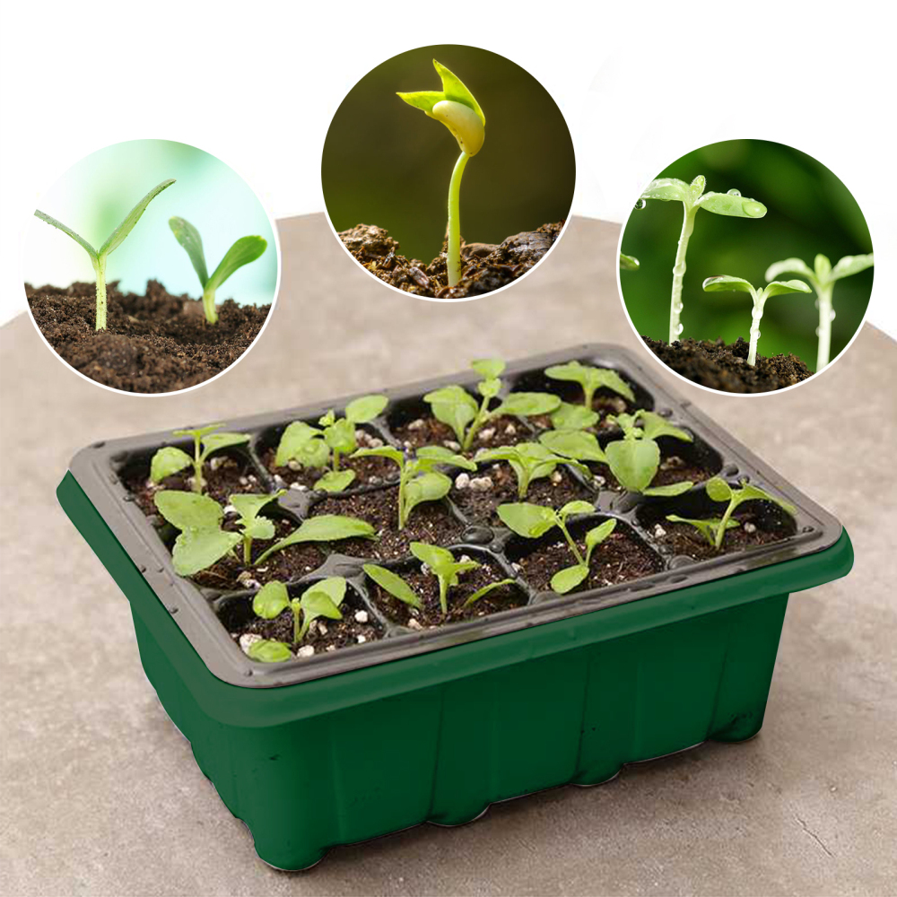 Seedling Growth Tray 12 Holes Nursery Reusable Seedling Starter Gloves Shovel Labels Garden Tool Set Simple Fidelity design. 
