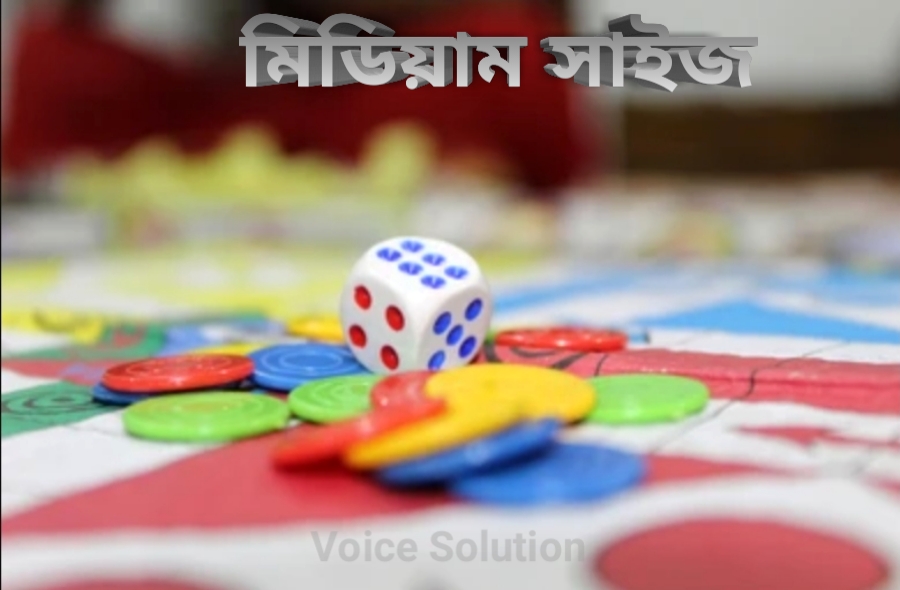 Game Set Medium Size Ludo (16" by 16")- Ludo, Snake and with Ludo Guti. 