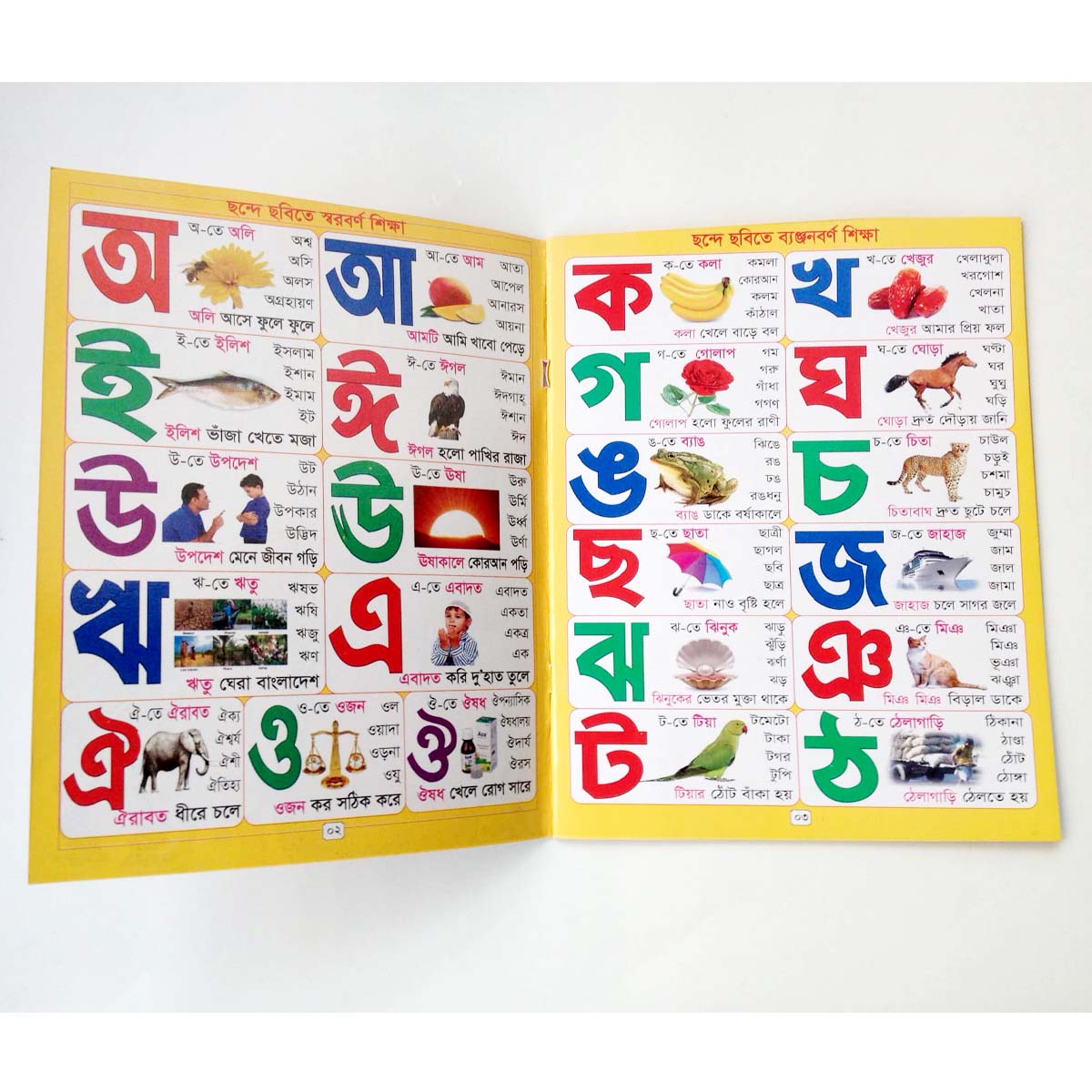 100 Types of Reading by Motu Patlu Book, (100 in One), 24 Pages, All Laminated Paper, Kids Learning for Children like Baby Toys. 