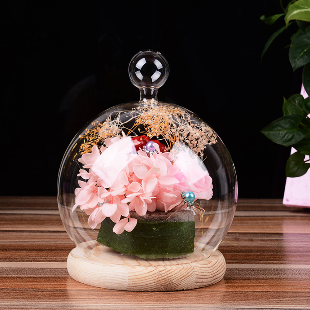 Glass Globe Display Dome Cover with Wood Base art Shape Handle e Decoration. 