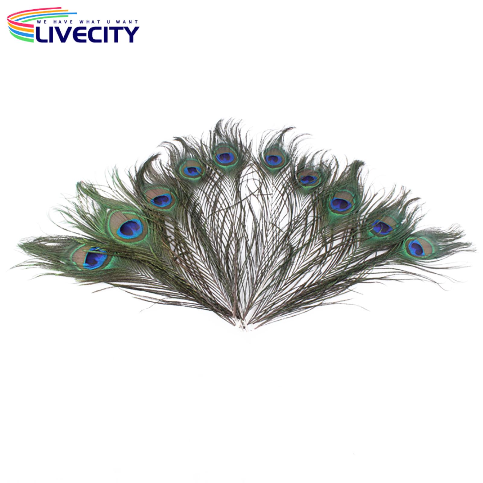 Peacock Feathers Creative Peacock Tail Feathers