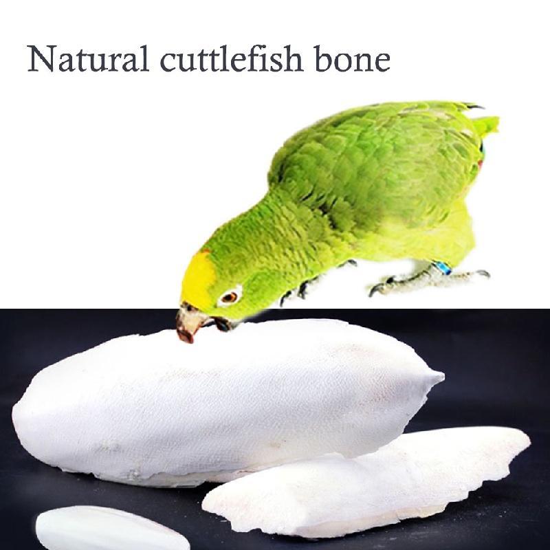 Cuttle Bone for Budgerigar, Love Bird, Cockatiel, Java and Parrot -100gm. 