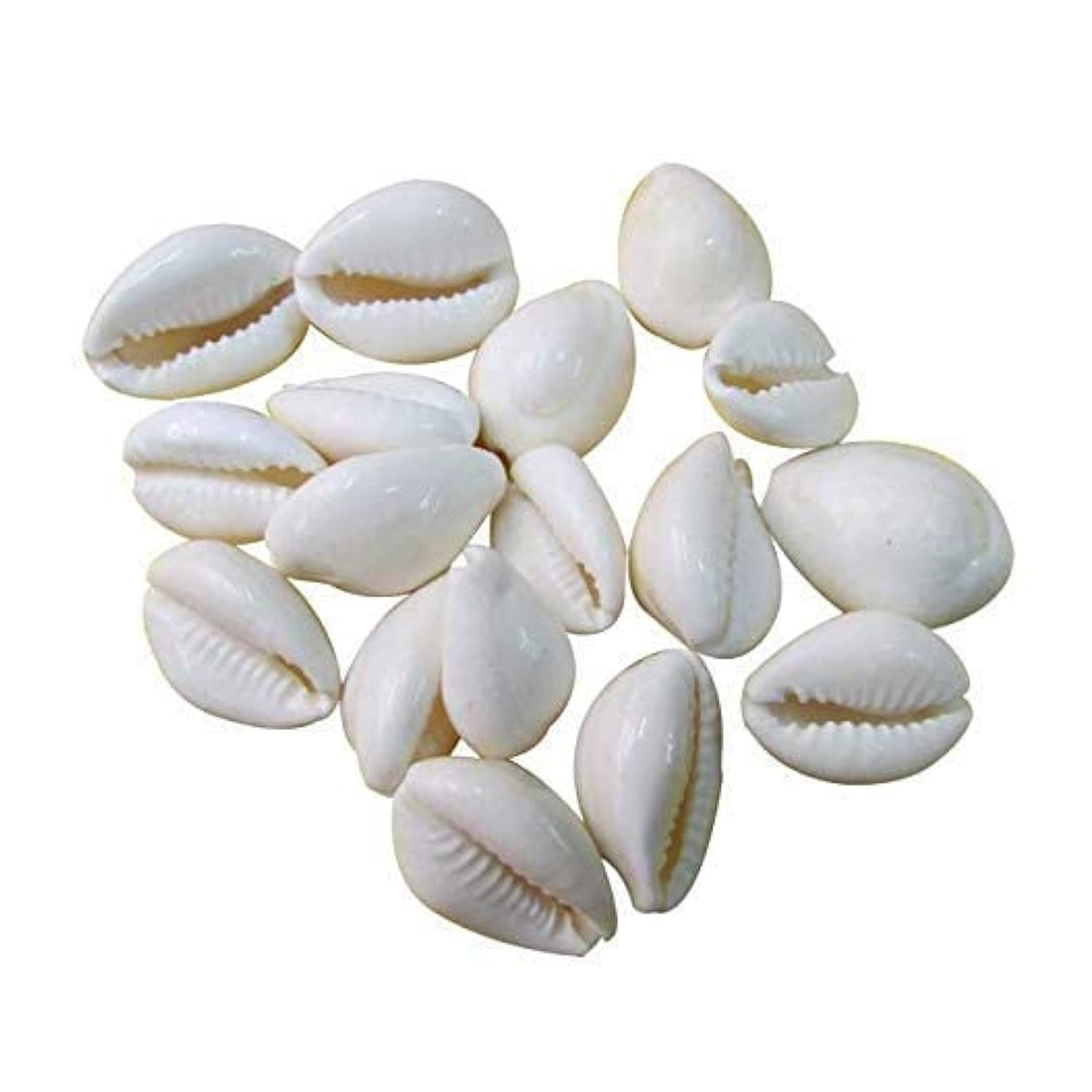10 Pcs Kori Jewelry Making Material Set