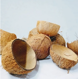 Coconut Shell 10 pieces for showpieces making coconut hard shell