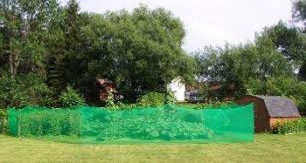 Plastic fencing mesh#Plastic netting fence#Garden Fencing Net (Same As picture). 