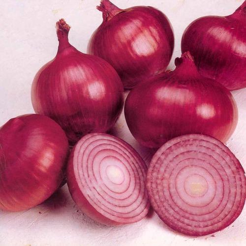 100 Pcs Red Onion Seeds - 100 Pcs Seeds (Imported Global Seeds ). 