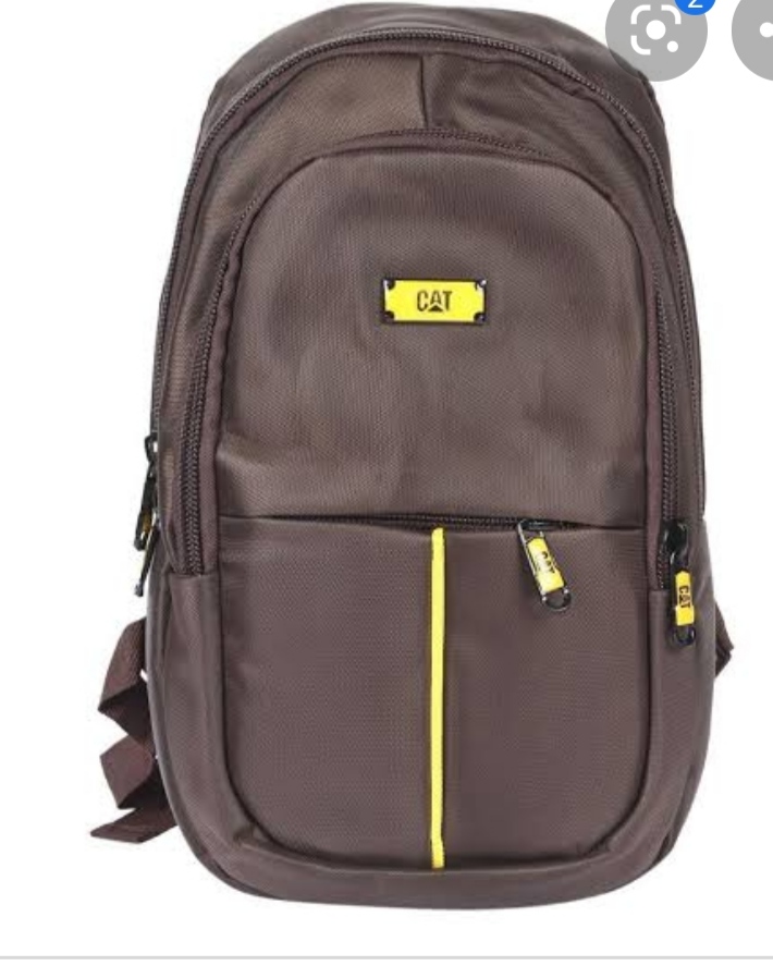 Cat Chambers 2 Part Carry Bag With Waterproof Fabrics And Headphone System. 