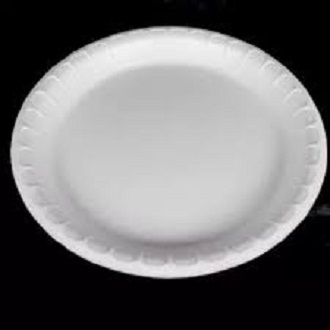 20 pcs Disposable Plastic Plate 9.5 inch One Time Use Plat Ideal for Outdoor birthday party Wedding anniversary. 
