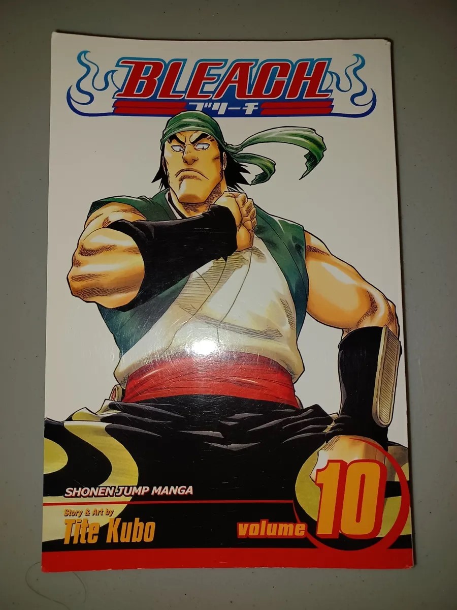 Bleach, Volume 10. 