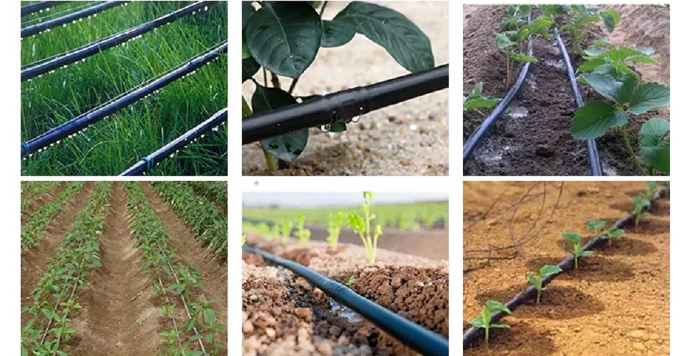 16mm Drip Irrigation LDPE Pipe with Round Emitter 30cm Spacing, Flow Rate 4 LPH, Thickness 0.8mm for Agriculture Garden Watering Drip Irrigation System.. 