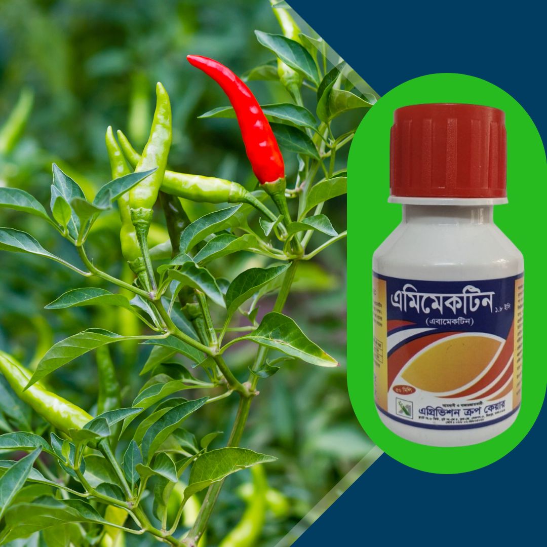 Insecticide: Amimectin 1.8 EC (Abamectin 1.8%)- 50 ml. 