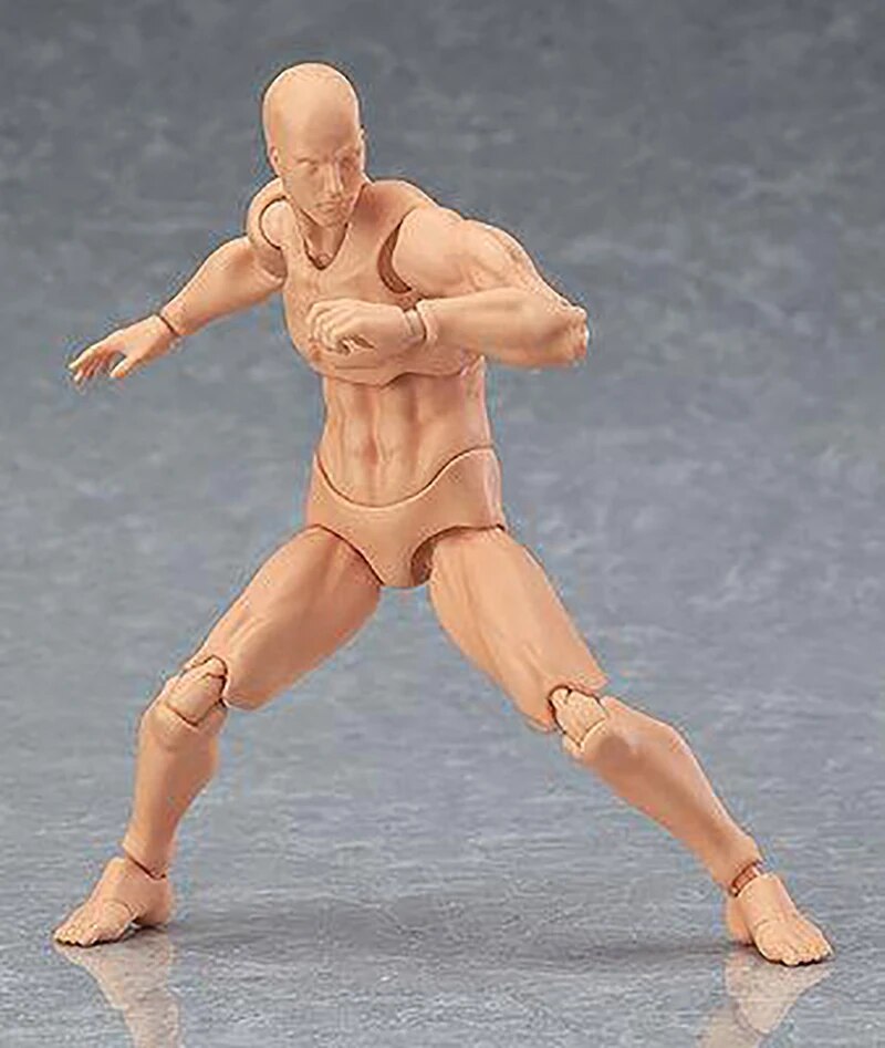 BODY KUN BODY CHAN Action Figure Figma Archetype He She Ferrite Collectible Model Toy with Stand Doll. 