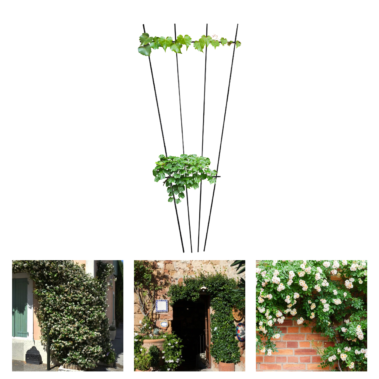 Support Ring Sle Sle Structure Multi-use Stake. 