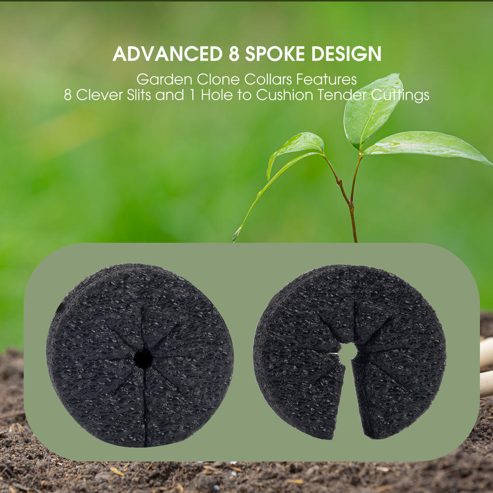 collars, vegetable grade foam inserts, hydroponic system, balcony germinate in DIY cloning machine and cloning machine (black). 