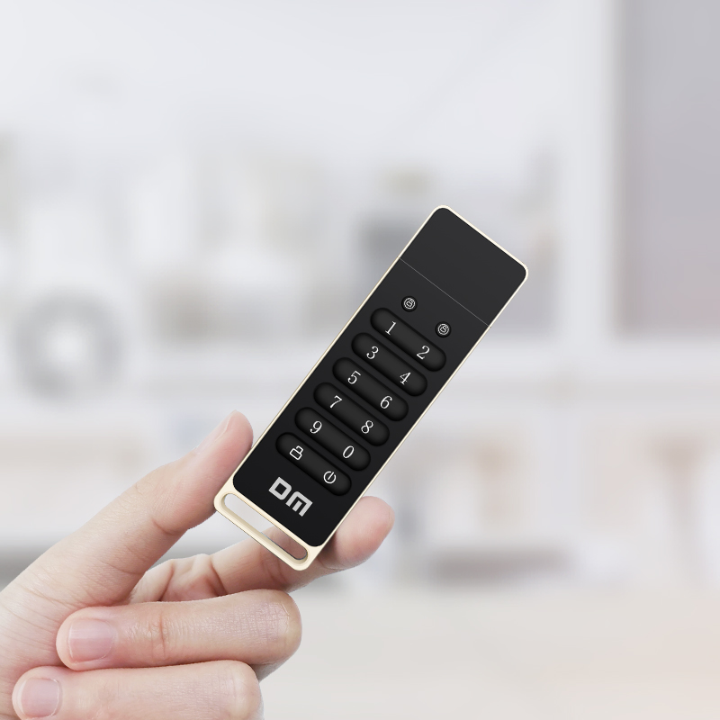 DM FD063 256-bit Encrypted USB Drive Password Secure Flash Drive USB3.2 U Disk Support Reset/Wipe/Auto Lock Function. 