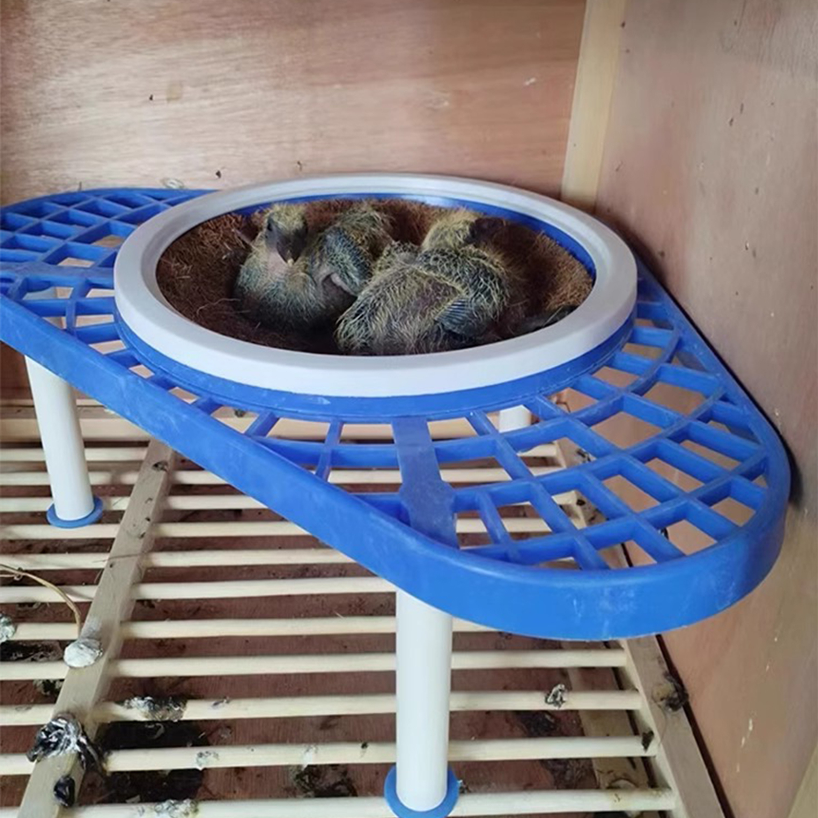 GC Pigeon Nesting Bowls, Pigeon Nest Rack With Smooth Bottom, Light Weight Portable Pet Nest Support Holder, Wear Resistant And Practical Bracket. 