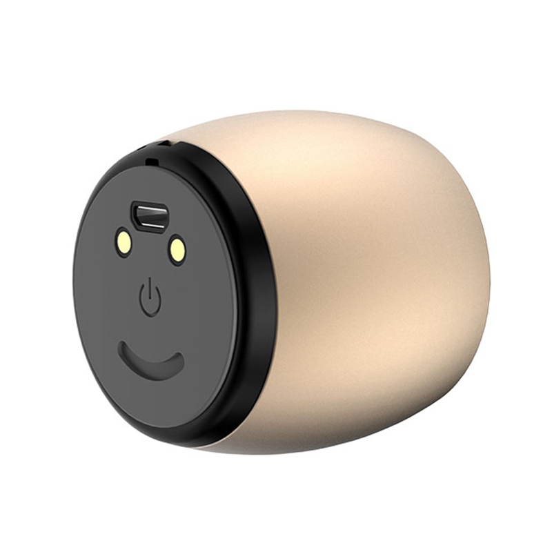 (New)SARDiNE F1 Aluminium Alloy Stereo Wireless Bluetooth Speaker with Charging Dock - Supports Hands-free Calling. 