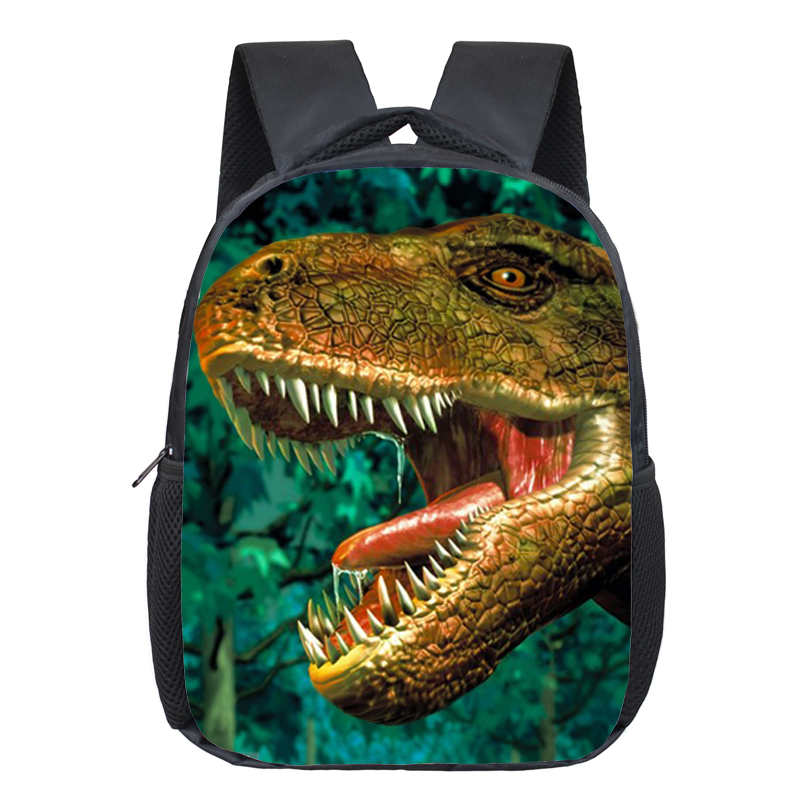 Dinosaur Magic Dragon Backpack for Kids Animals Children Schoolbags Boys Girls School Bags Kindergarten Backpack Book Bag-12KONGLONG20. 