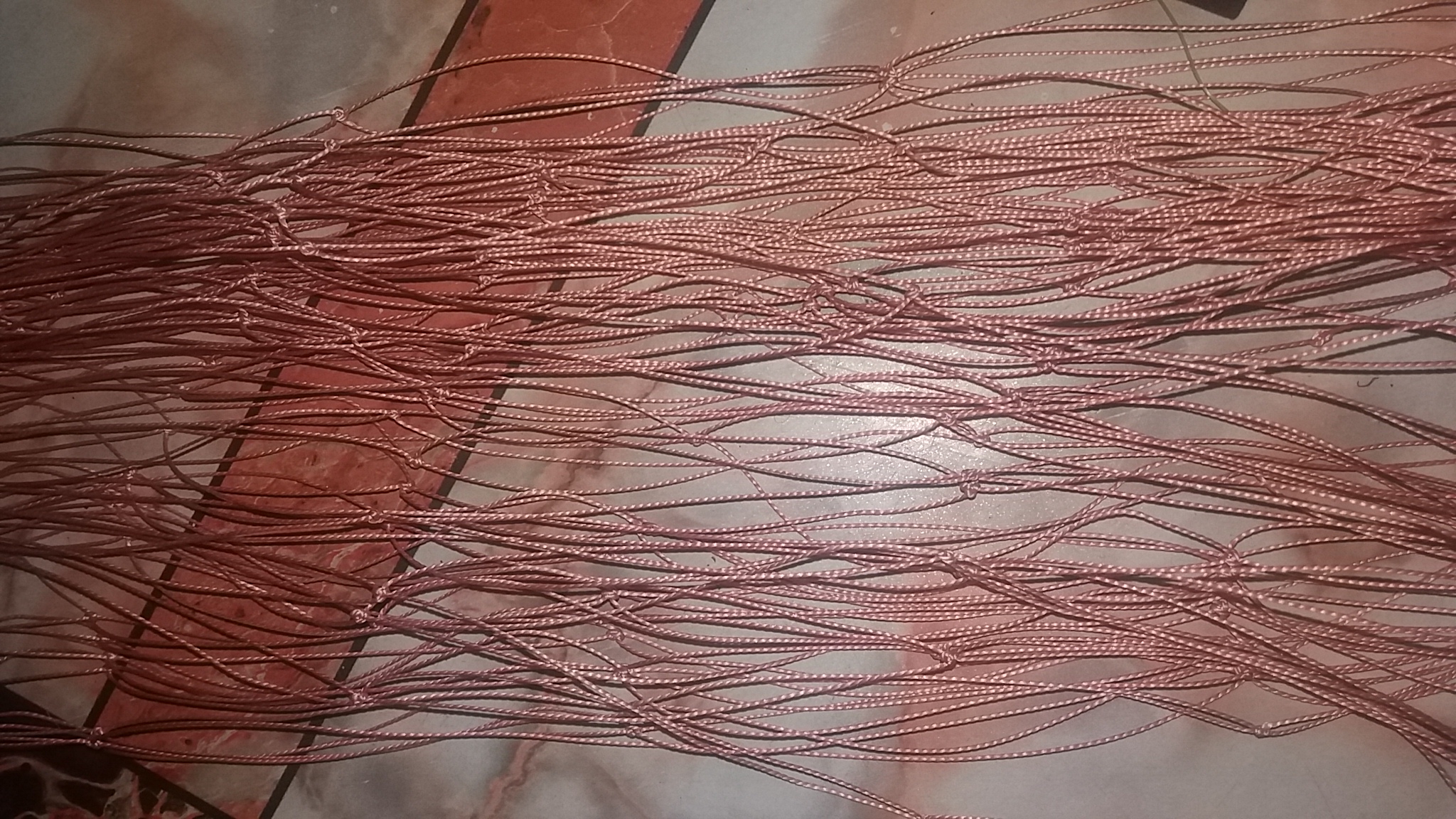 tree climbing net. 