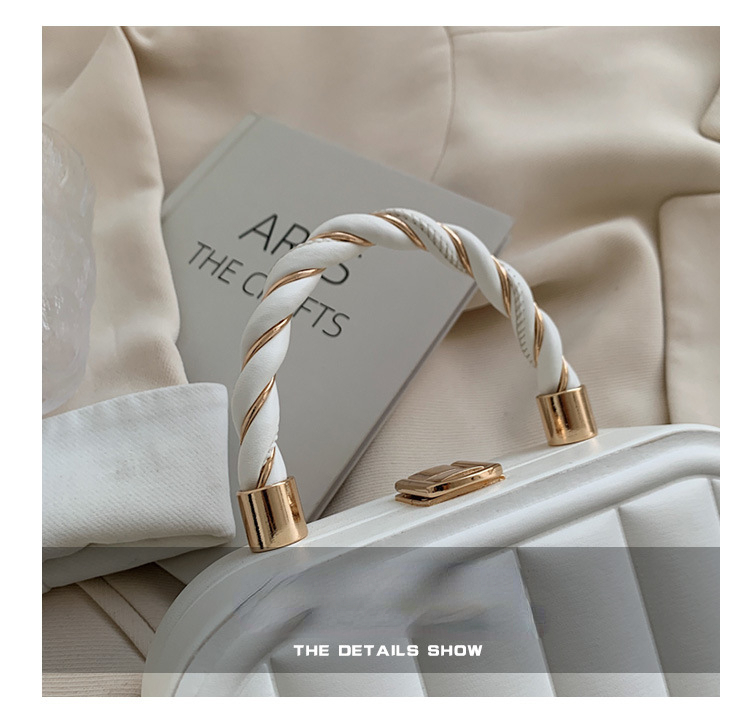 IELGY women's high-end chain solid color box small square bag. 