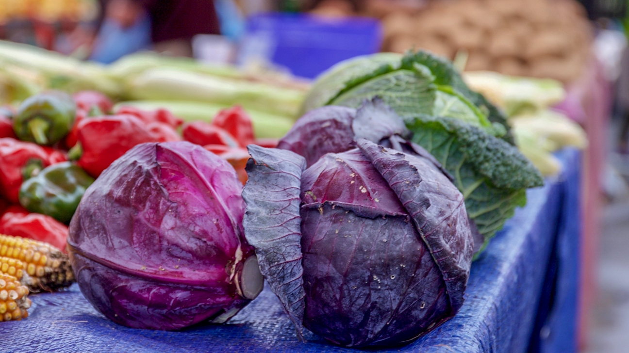 4 type salad plat vegetable seeds 40 piece. cabbage, purple cabbage, chyna cabbage, letus.. 