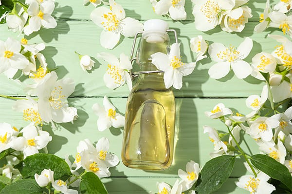jasmine oil/chameli tel 100ml. 