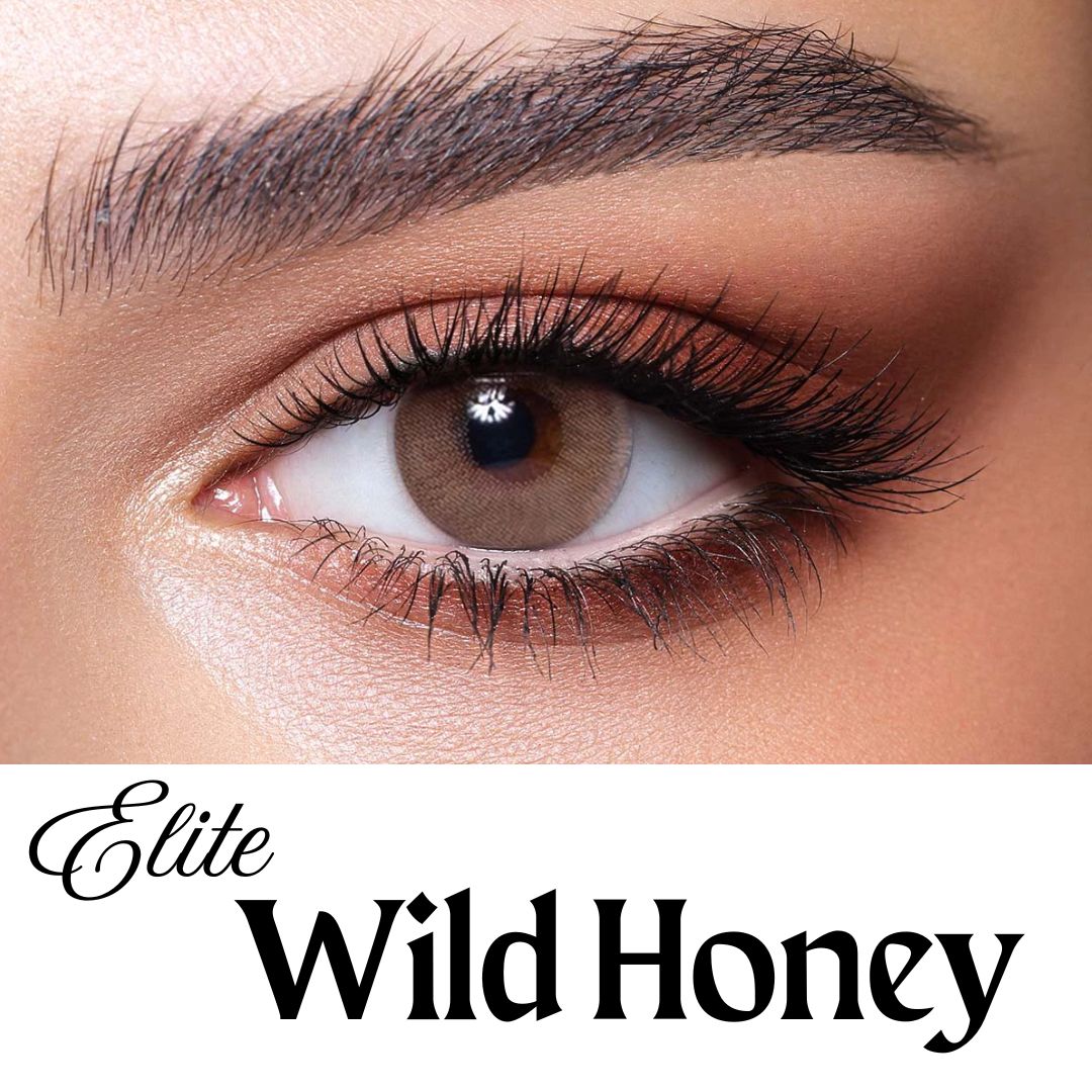 New Bella Wild Honey Elite Contact Lens With Regular Kit Box For Men and Women. 1 Pair Bella Color Contact Lens For Eye Makeup and Cosmetics. Bella Elite Series. #wildhoney