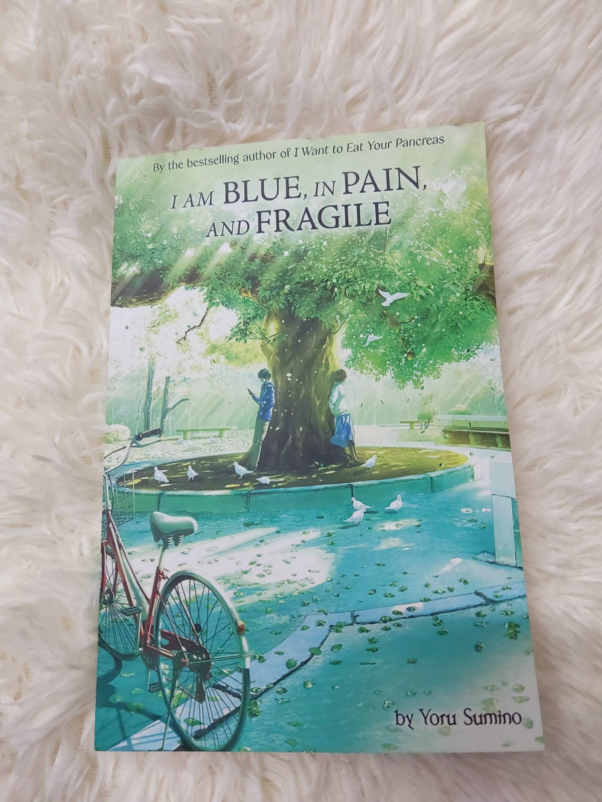 Yoru Sumino's Light Novel Combo (I Will Forget This Feeling Someday + I am Blue, in Pain, and Fragile). 