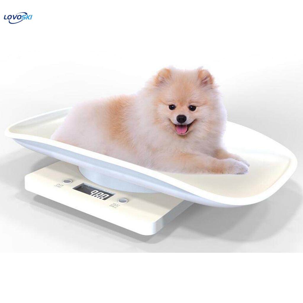 Measure Scale Cat Weight. 