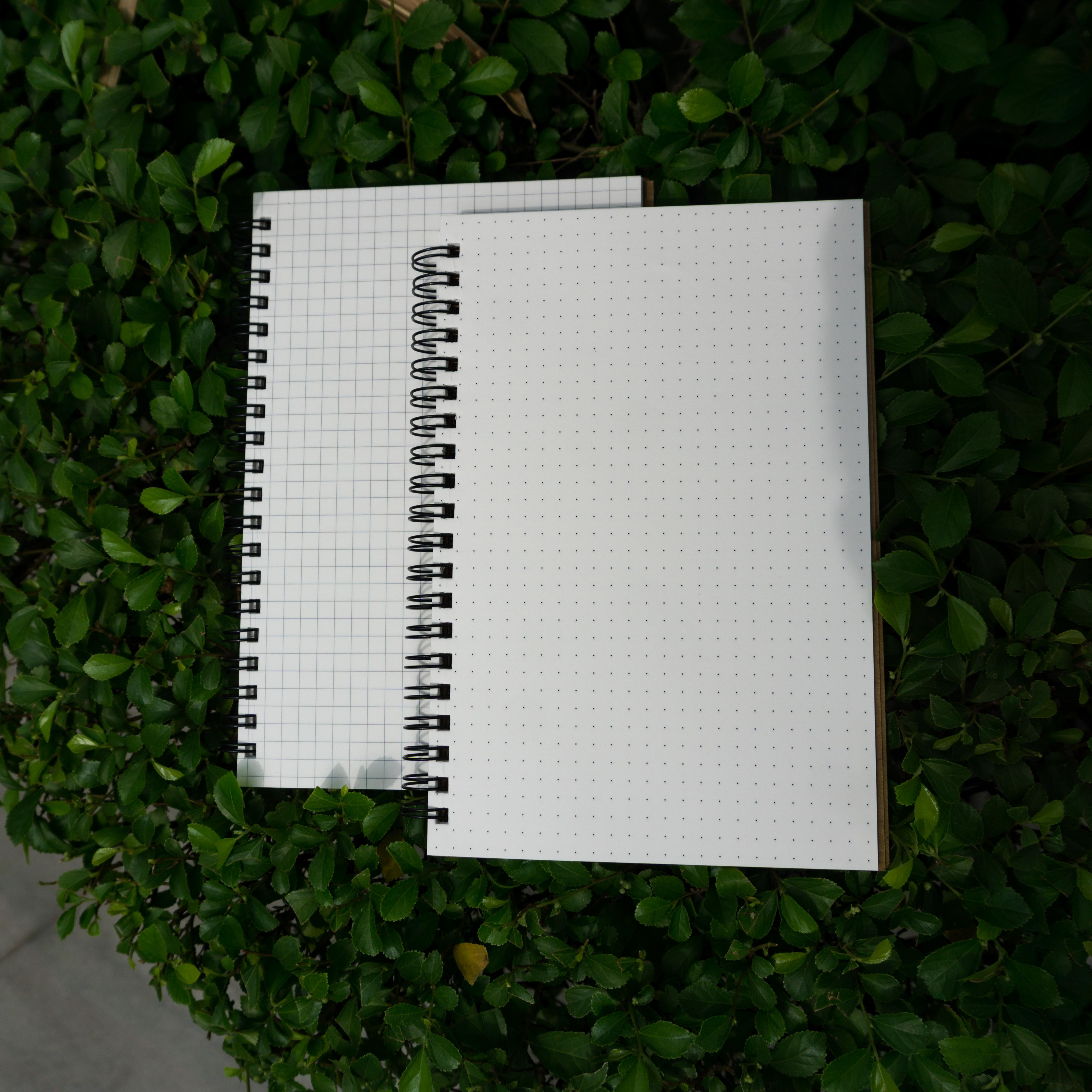 Designer Series Dot-Grid & Graph/Grid Notebook 2-Pack. 