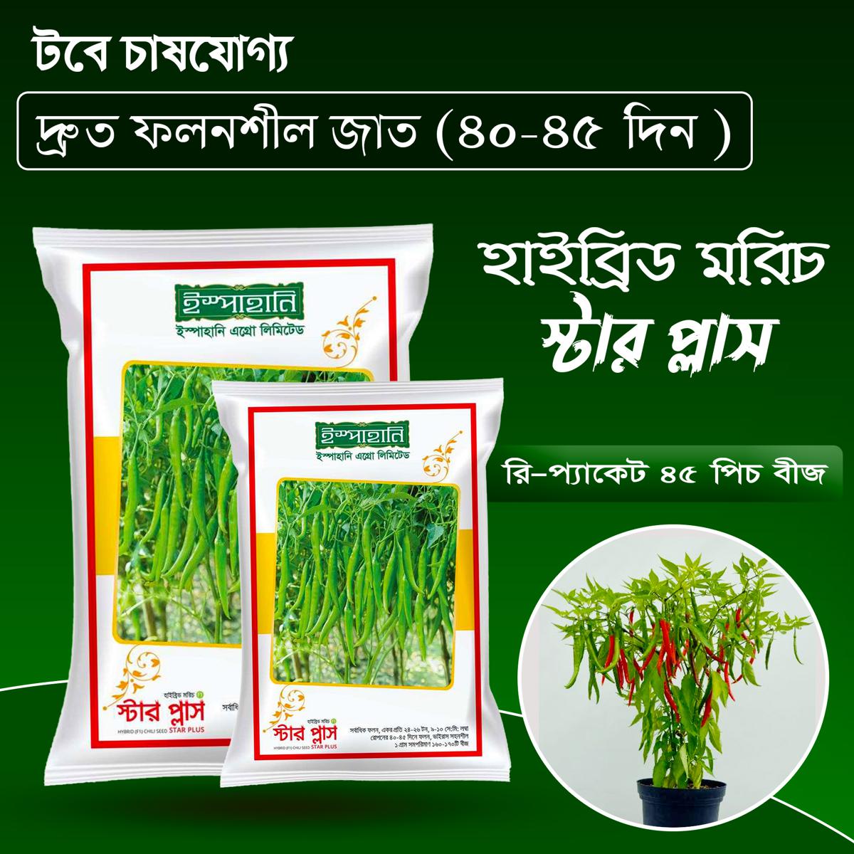 স্টার প্লাস হাইব্রিড মরিচের ৪৫ পিচ রিপ্যাক বীজ ( Hybride chilli star plus Repacket 45 pcs seed )