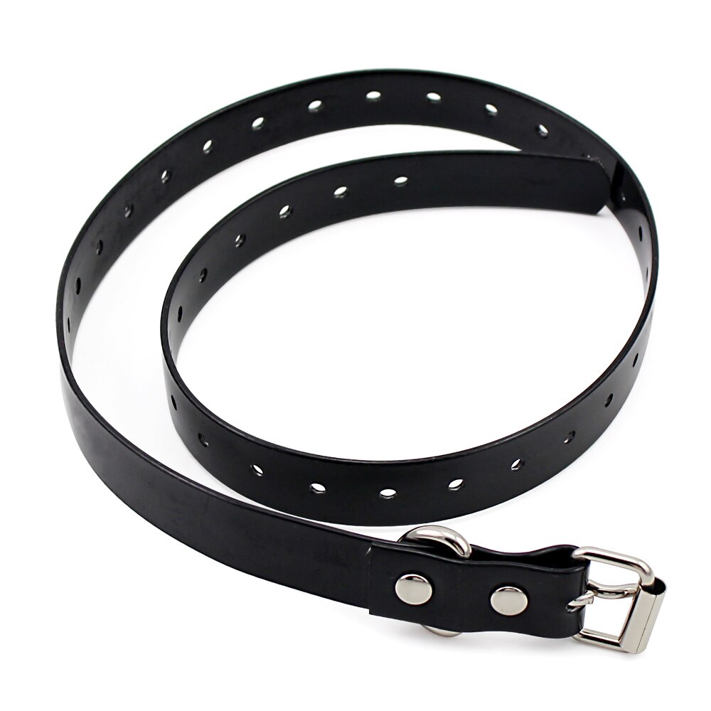 Petrainer 998DB and iPets 619 s Black  collar. 