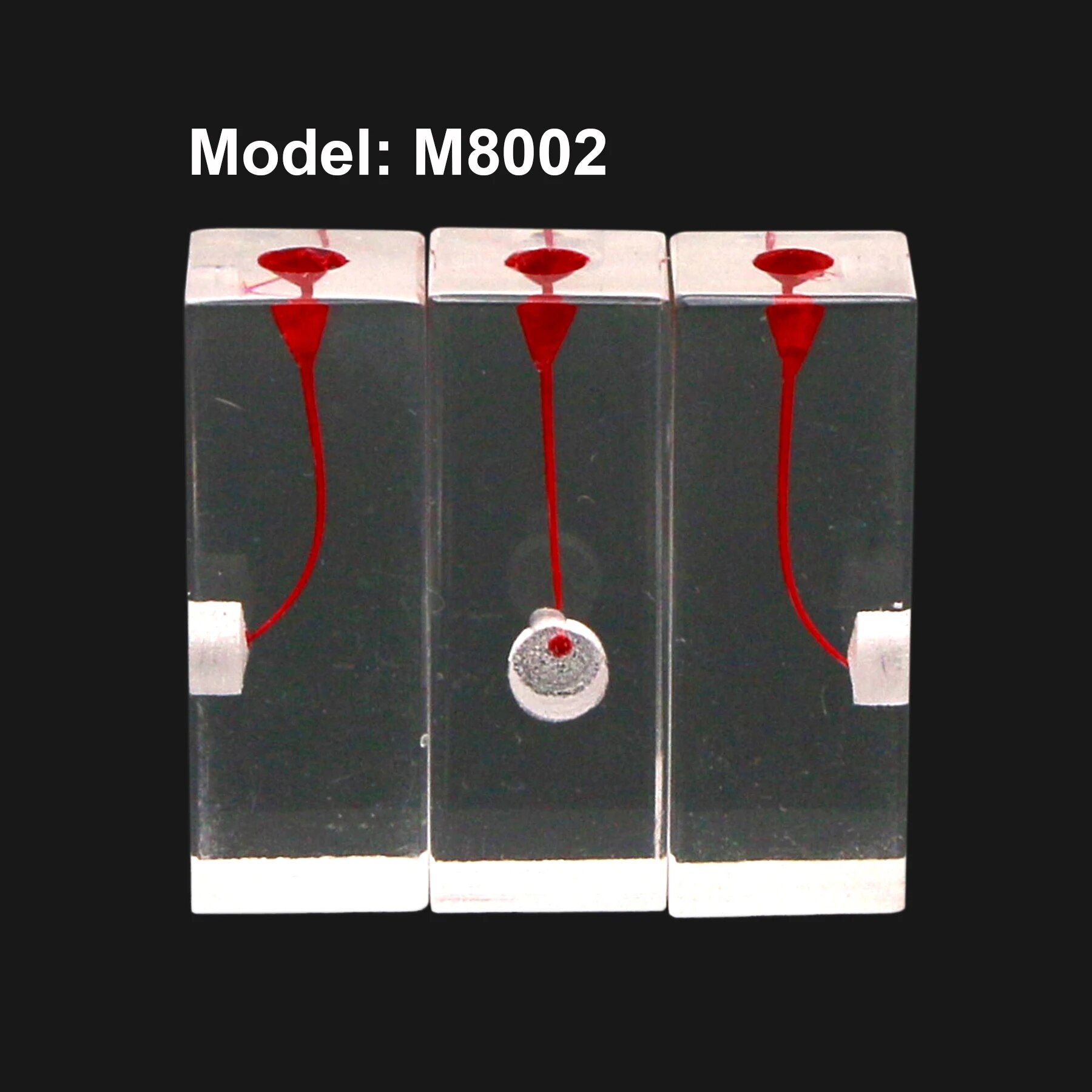 Dental Endodontic Practice Root Canal Pulp Cavity RCT Teeth Model Training Block Study Demo Of Files Operation. 